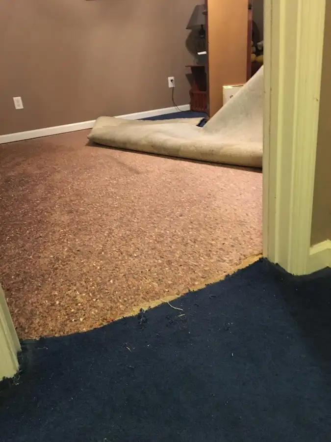 Carpet pad removal revealing water damage during Water Mitigation Services in Spring Creek