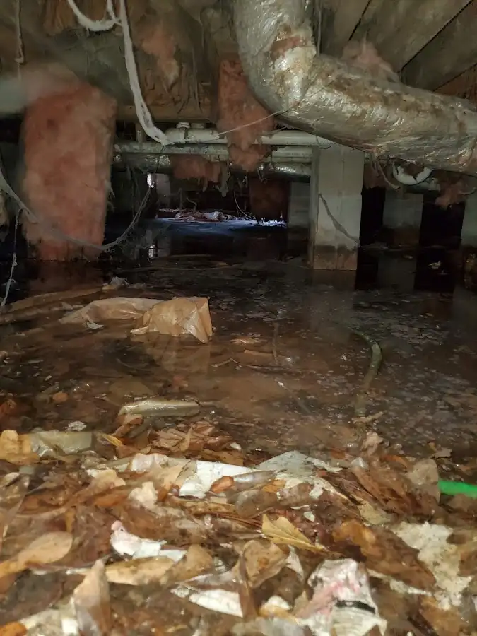 Crawl space flood assessment for Leak Detection & Repair in Spring Creek